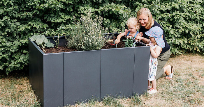 Hochbeet bepflanzen – Planung, Pflanzplan & praktische Tipps